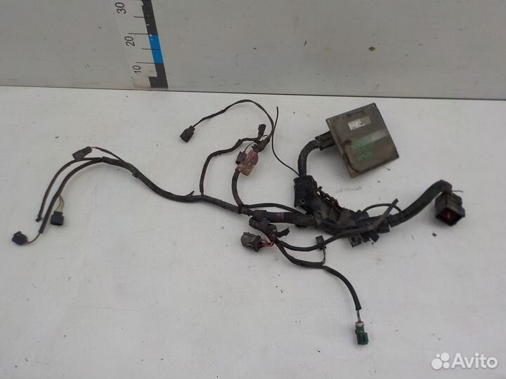 Проводка моторного отсека Ford Fiesta 2001-2007