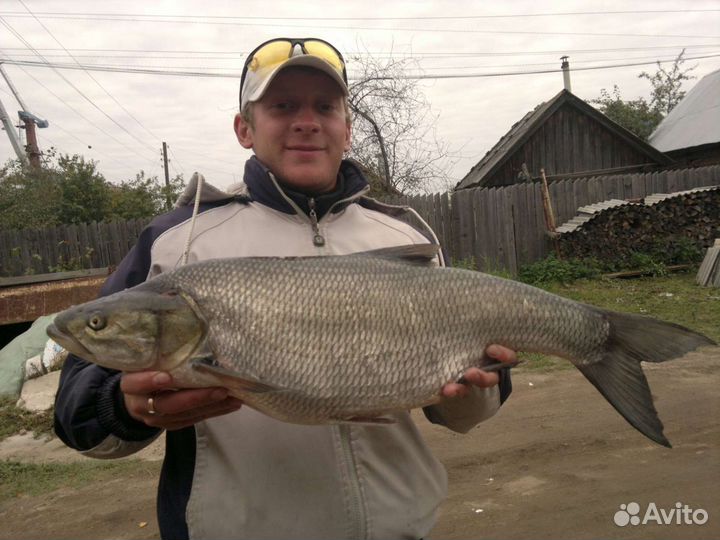 Рыбалка с гидом круглый год, прогулки на катере