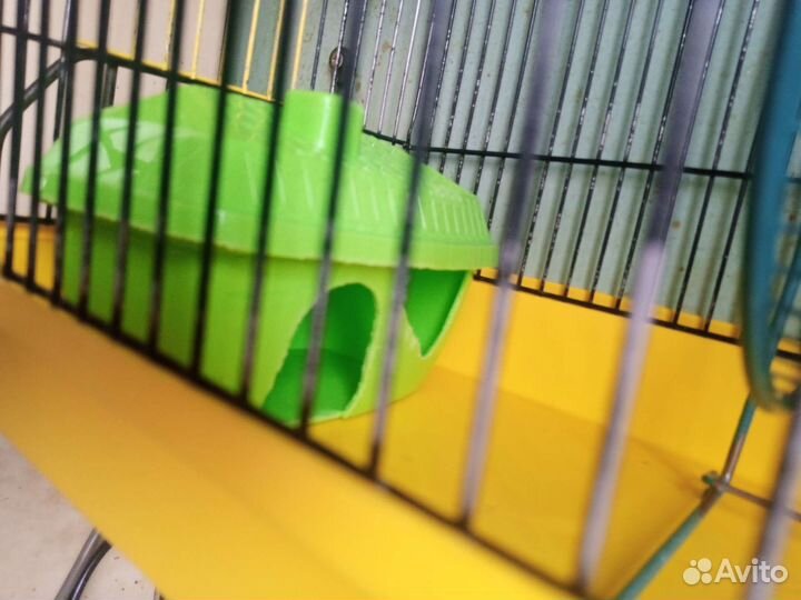 Клетка для хомяк