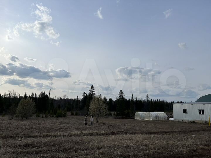 Участок 12 сот. (ИЖС)