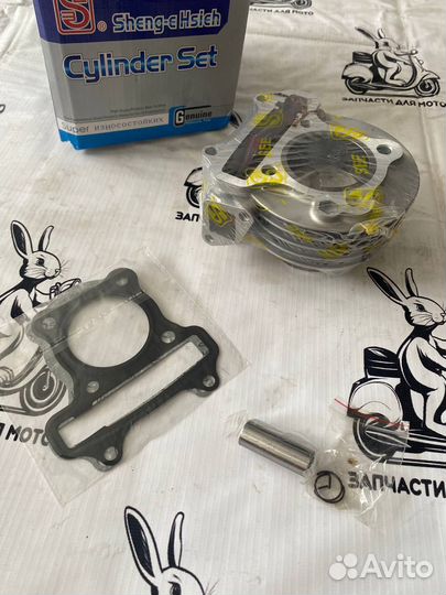 Цпг на 139 qmb 80см3 тайвань