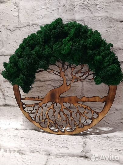 Пано из стабилизированного мха