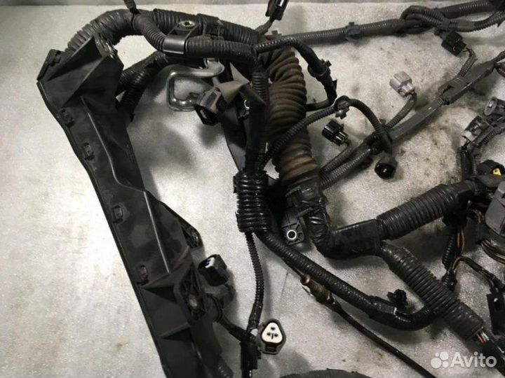 Проводка (коса) Lexus Is 250/350 седан 2adfhv