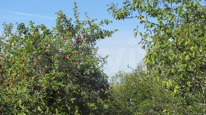Участок 33 сот. (ИЖС)