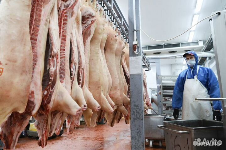 Боец скота вахта в г. Татарстан