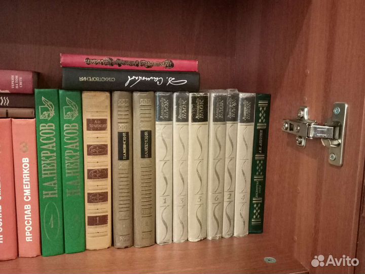 Российская поэзия