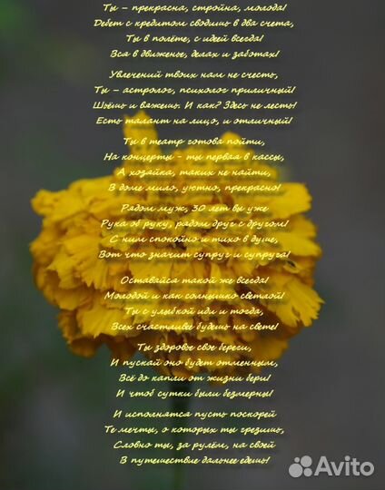 Стихи на заказ на любую тему