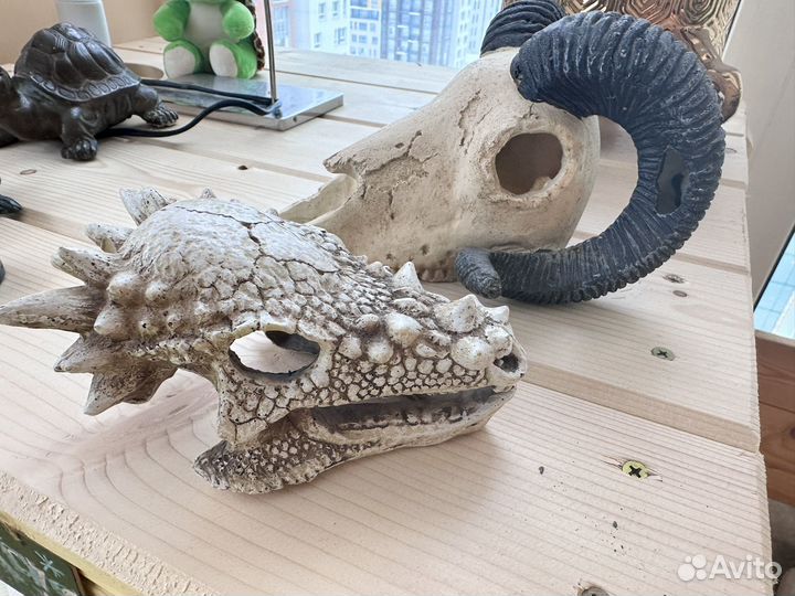 Декорации для террариума