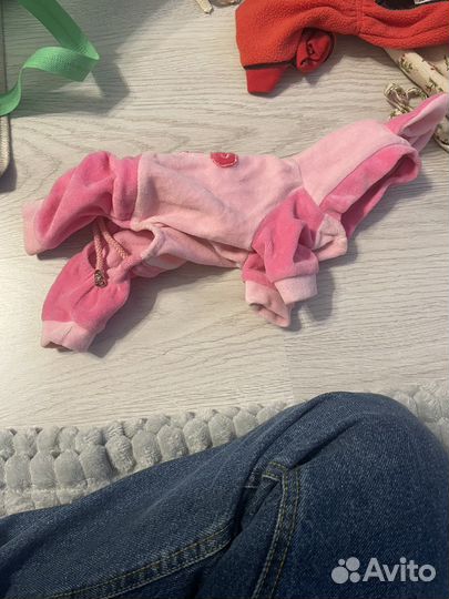 Одежда для маленьких собак или кошек