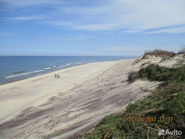 Куршская коса - индивидуальная экскурсия