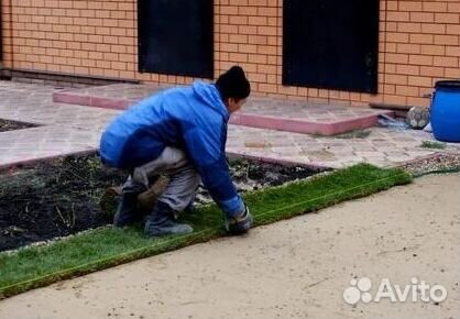 Газон от производителя