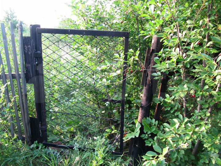 Участок 10 сот. (СНТ, ДНП)