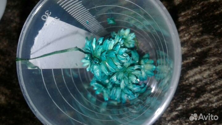 Цветы (читайте описание)