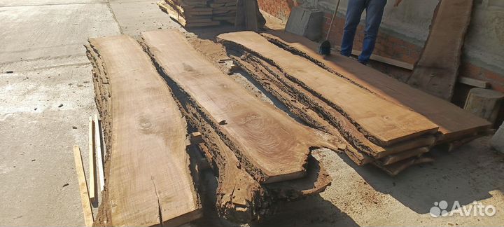 Слэб дерева и спилы. Орех, грецкий орех, платан