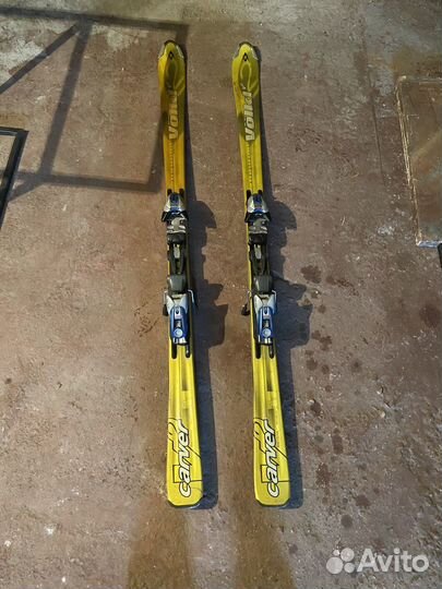 Горные лыжи