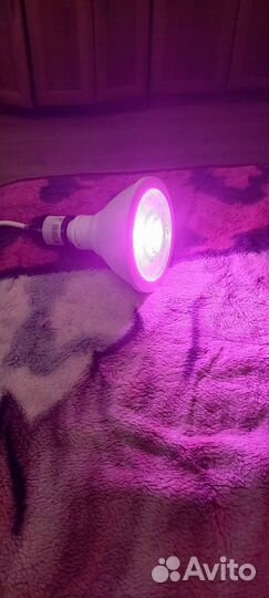 Светодиодная фитолампа Navigator