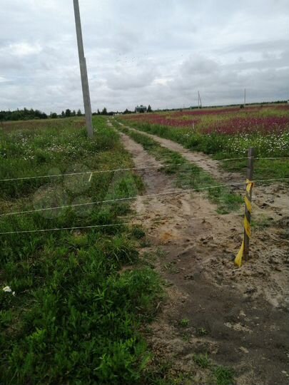 Участок 9,6 сот. (ИЖС)