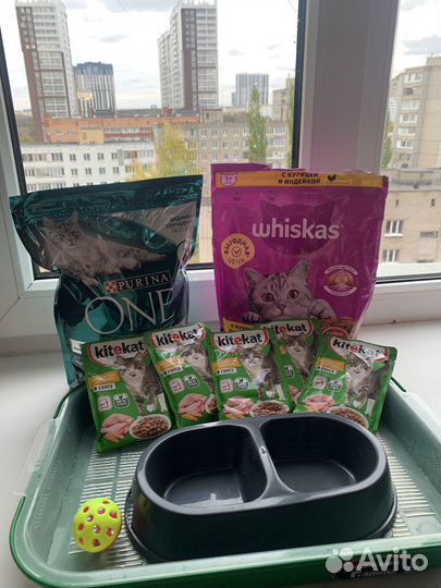 Лоток для кошек