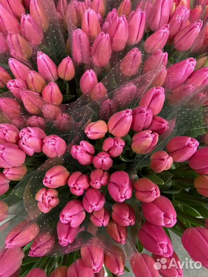 Тюльпаны опом и в розницу