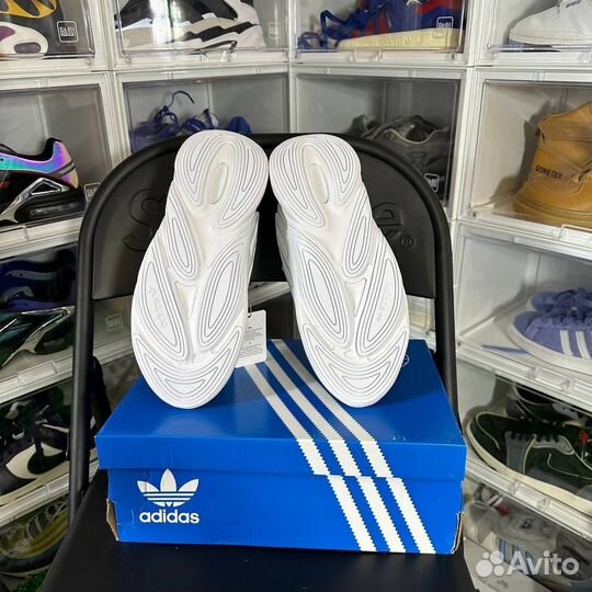 Adidas Originals Ozelia