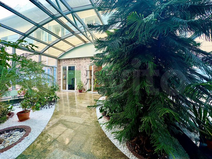 Аренда помещения (детский центр)