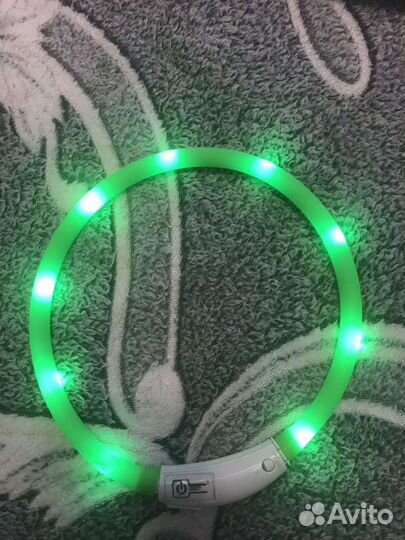 Ошейник для собак