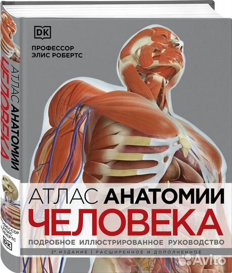 Атлас анатомии человека (DK). Подробное иллюстриро