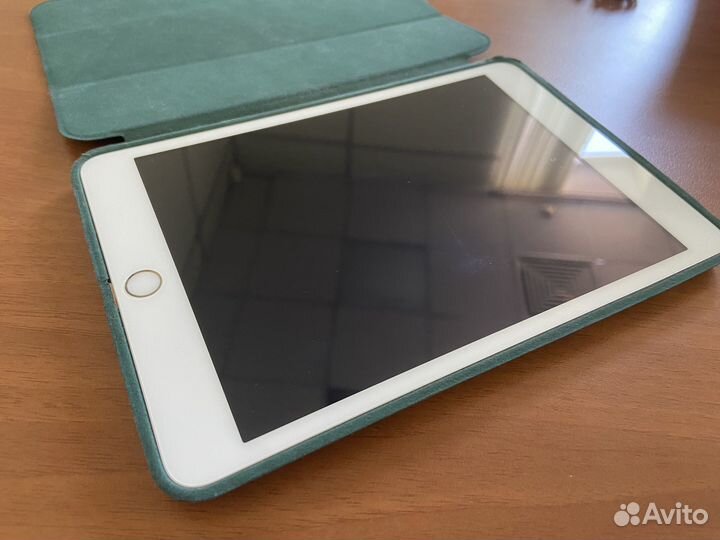 iPad mini 3 cellular