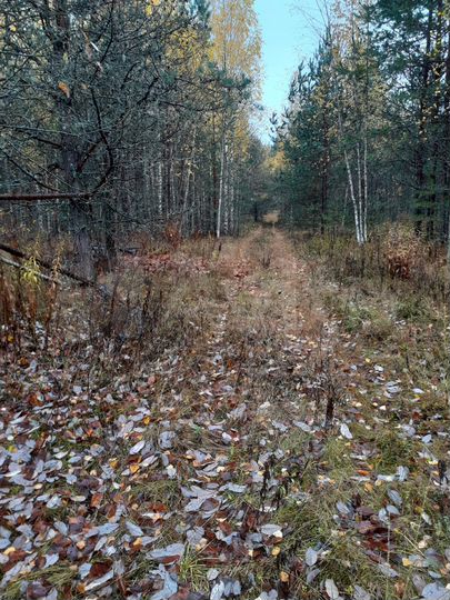 Участок 10 сот. (СНТ, ДНП)