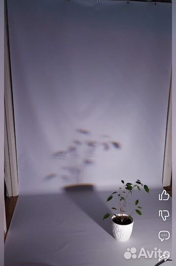 Двухсторонний виниловый фотофон 1.8x4.2