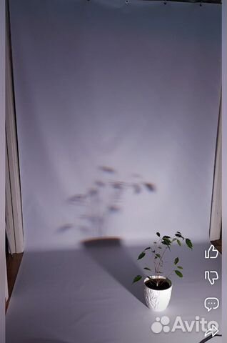 Двухсторонний виниловый фотофон 1.8x4.2