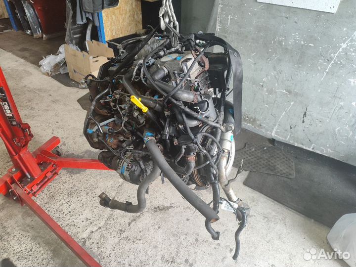 Тнвд Ford Focus 2, 2009