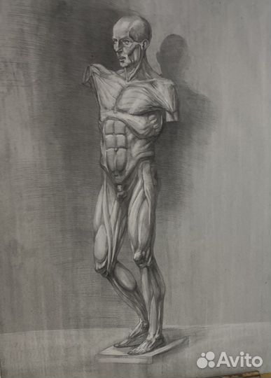 Подготовка к художественному вузу