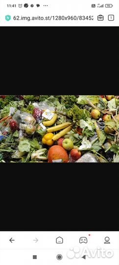 Фрукты и овощи на корм животным