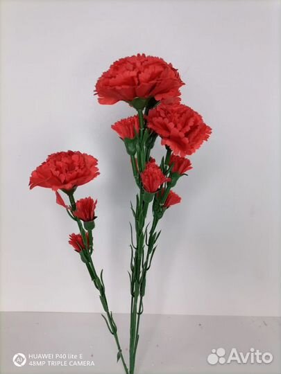 Ветка гвоздик натуральных