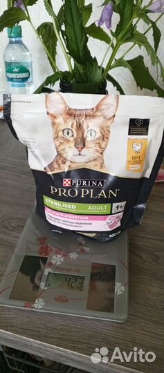 Корм для кошек проплан