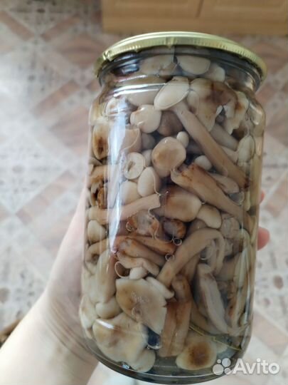 Грибы соленые и жареные