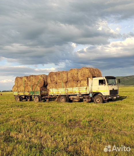 Продам сено в рулонах 300/350 кг