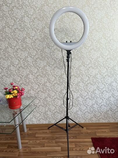 Кольцевая лампа