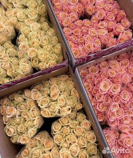 Доставка цветов Сочи