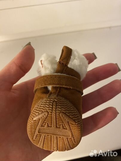 Обувь зимняя для собак