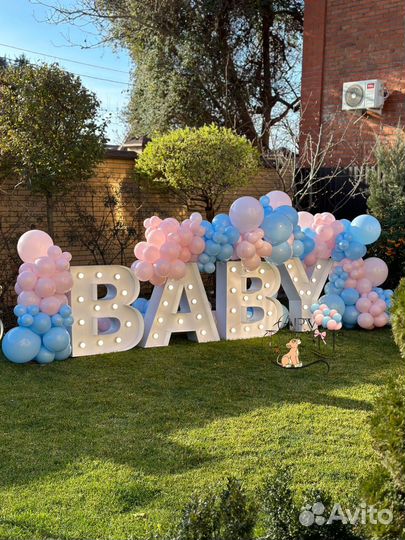 Гендер пати, gender party