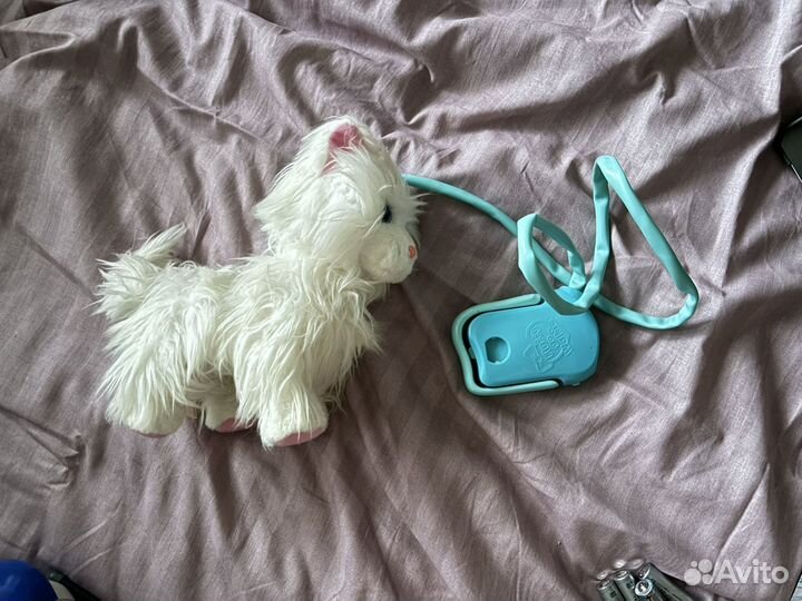 Ходячая кошка