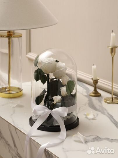 Роза в колбе оптом