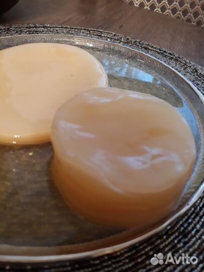 Чайный гриб, молочный гриб,рисовый гриб