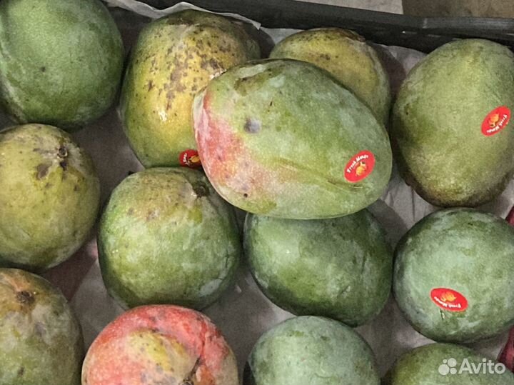 Манго Егитет