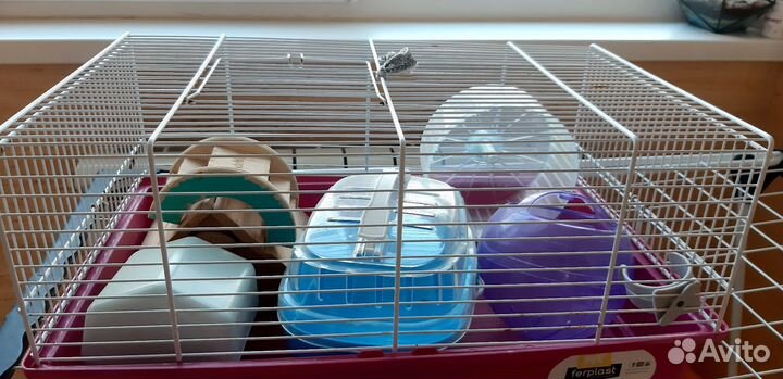 Клетка для джунгарского хомяка