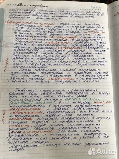 Пишу конспекты