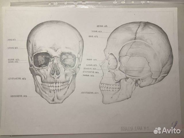 Рисунки на заказ