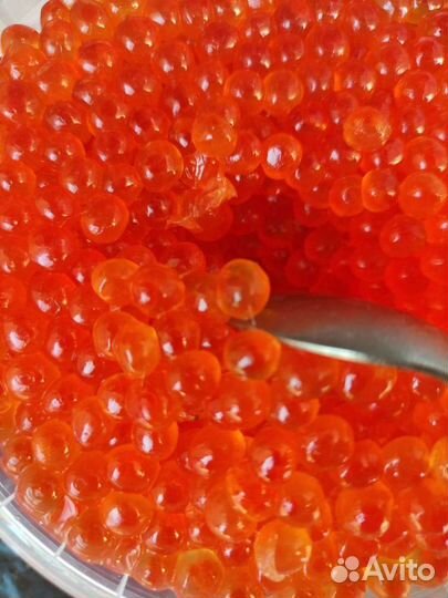 Икра кеты этого года во Владивостоке